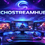 echostreamhub