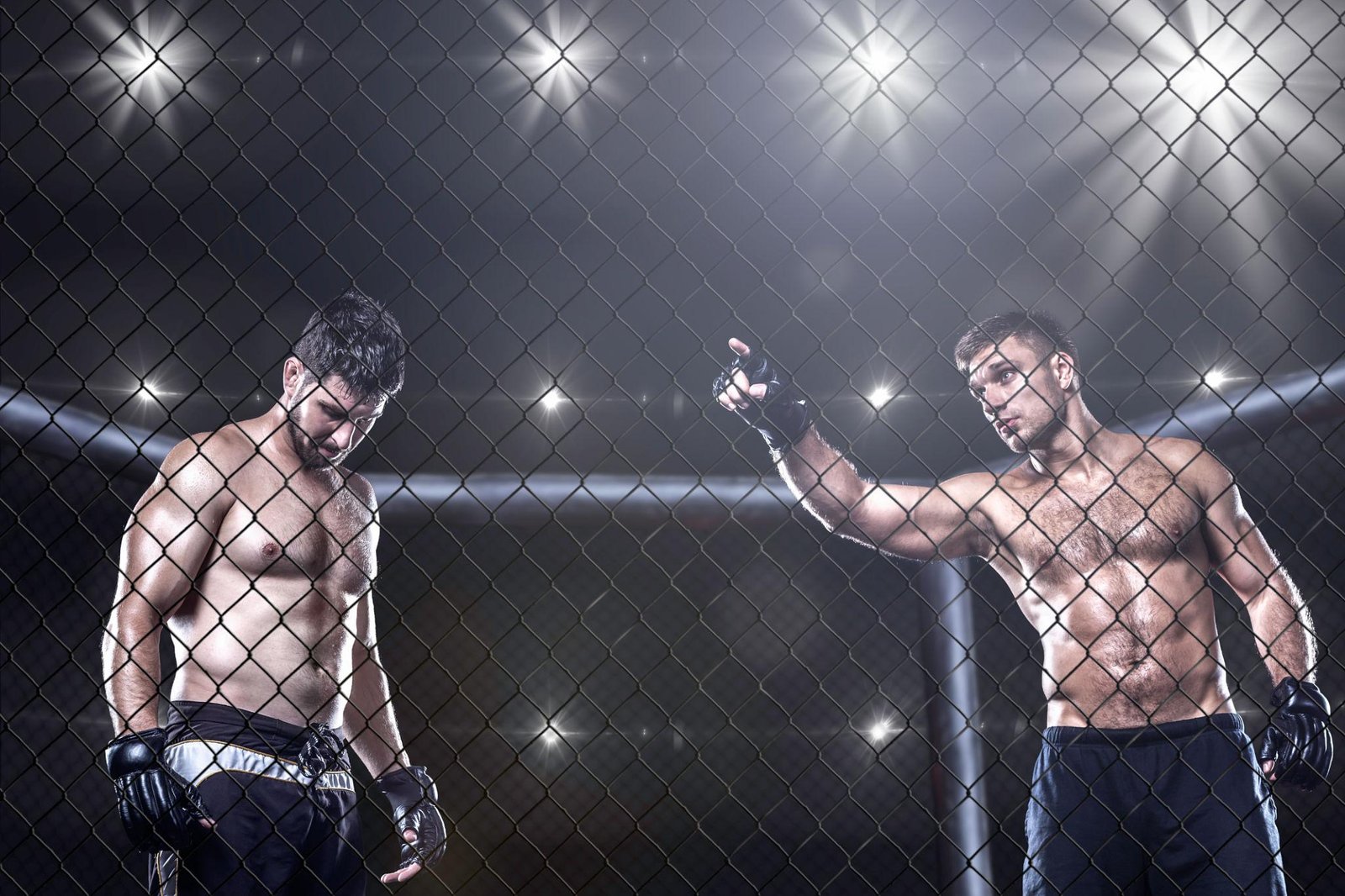 UFC Tonight